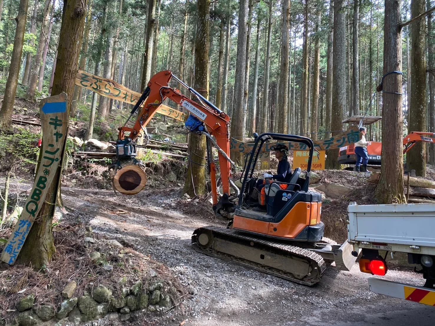 大阪南河内 大橋山林業