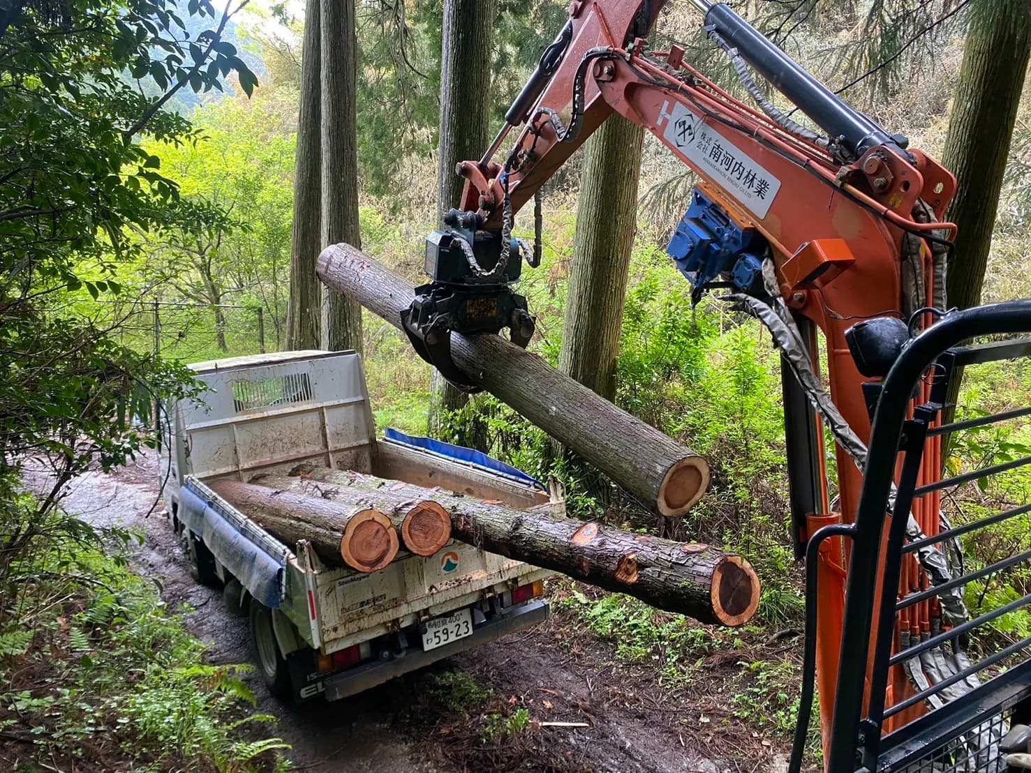 大阪南河内 大橋山林業